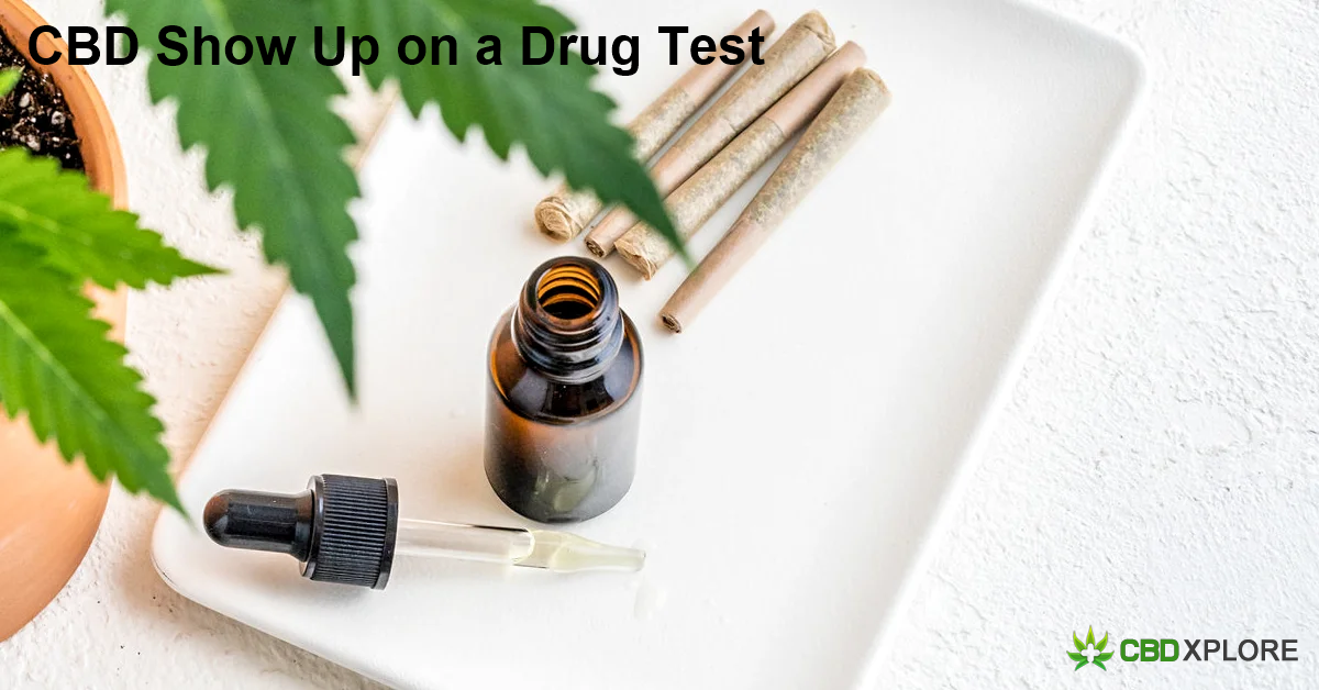CBD Show Up on a Drug Test