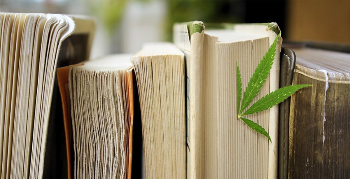Don't Miss Our Top 4 Recommendations for CBD Books