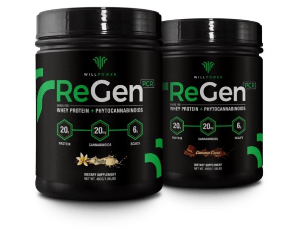 CBD-Infused Protein Powder for Muscle Recovery