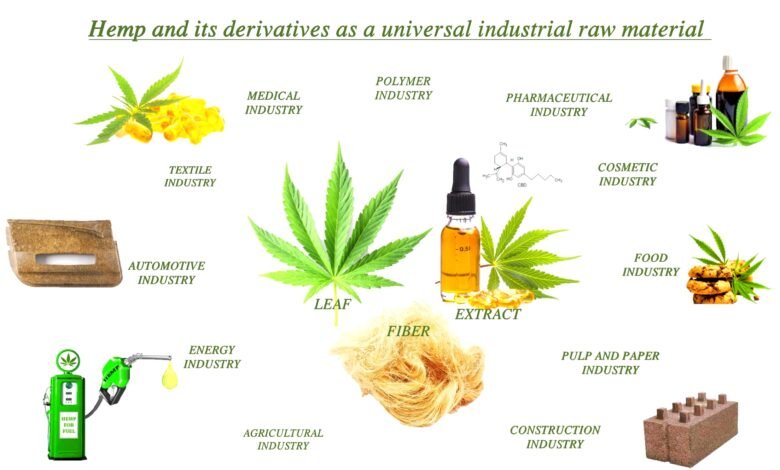 A Short History of CBD Oil in UK