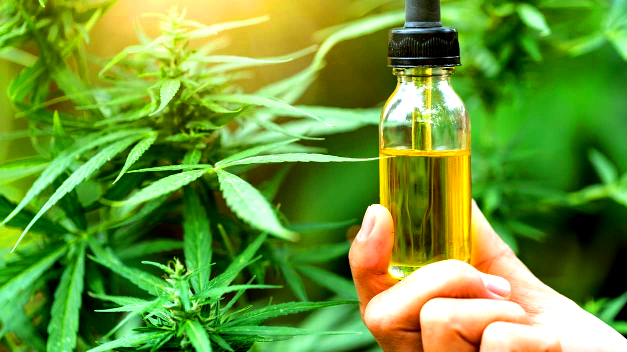 How Long Does CBD Oil Take to Work