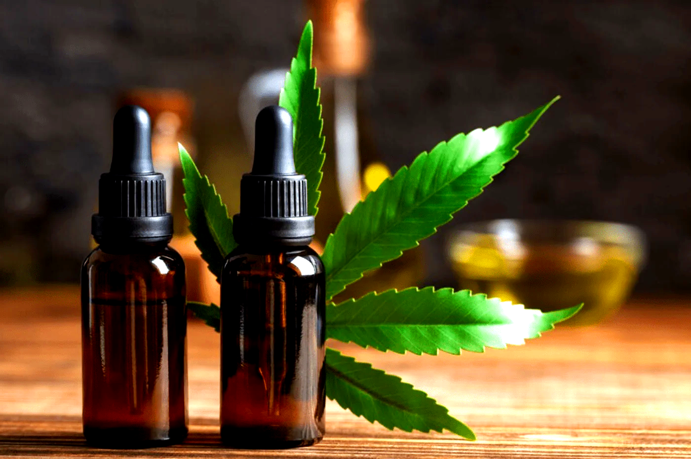 Entourage Effect of CBD Oil in 2025