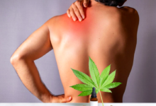 CBD for Inflammation How It Helps Reduce Chronic Pain