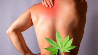 CBD for Inflammation How It Helps Reduce Chronic Pain