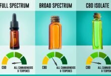 Full-Spectrum vs Broad-Spectrum vs CBD Isolate: Which Is Best?